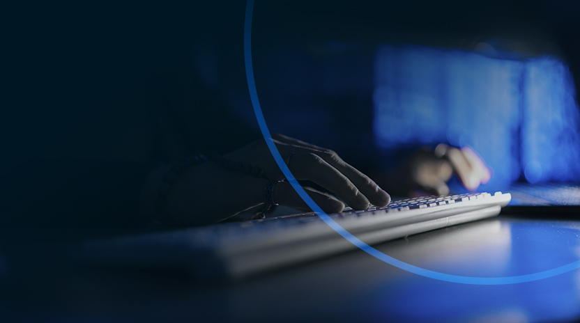 Guía de Usuario del Sandbox.